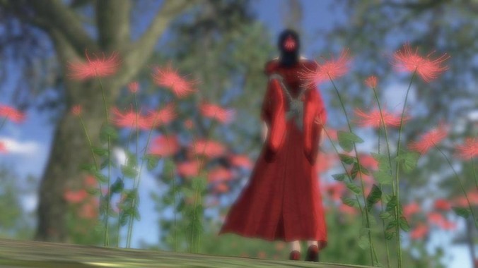 伊朗为什么不买中国战机，却坚持四十年用老旧的苏联米格29、美国F14雄猫战斗机?